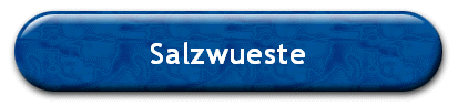 Salzwueste